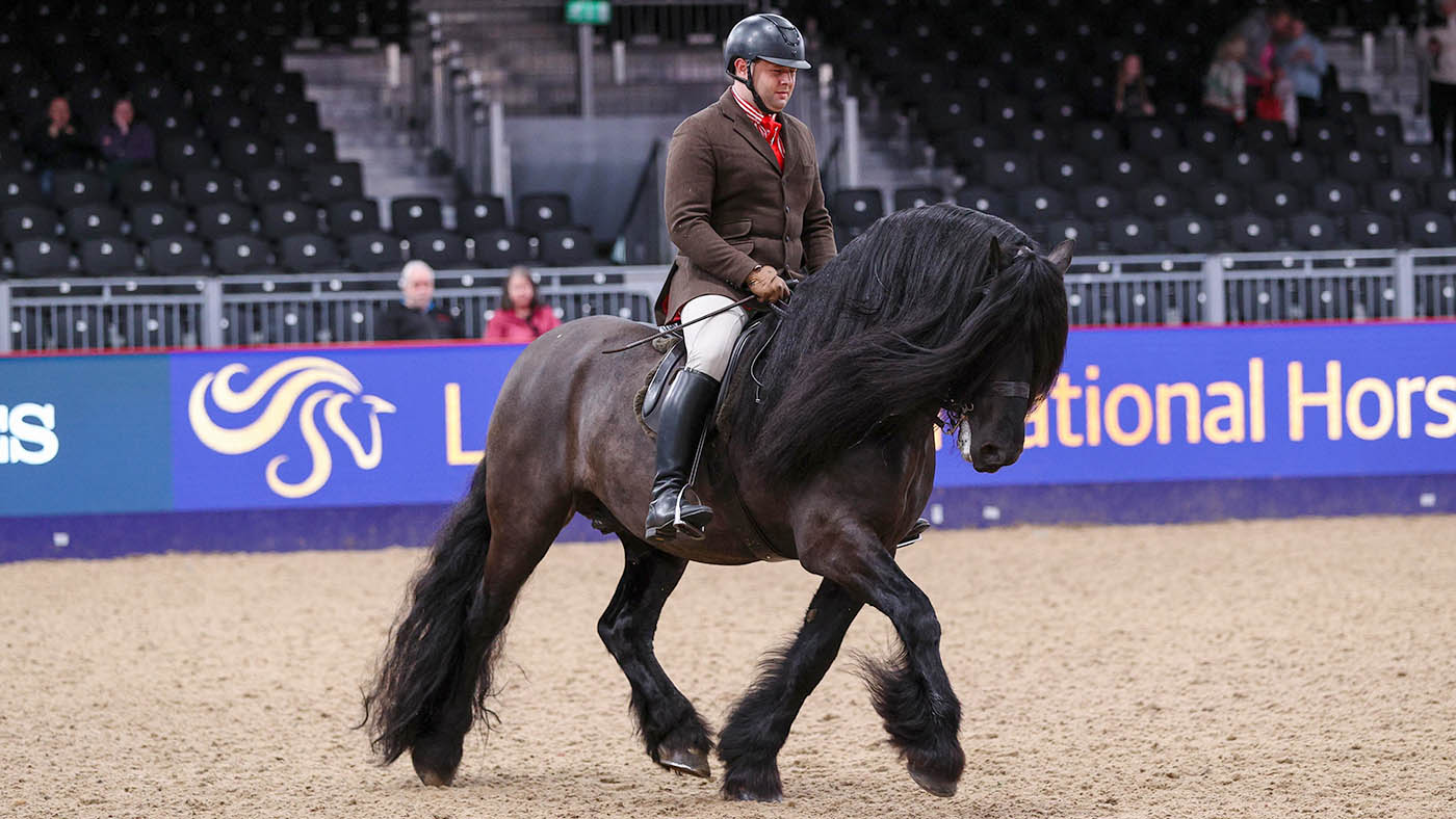 HorseNo_305_LIHS_PN24_183258