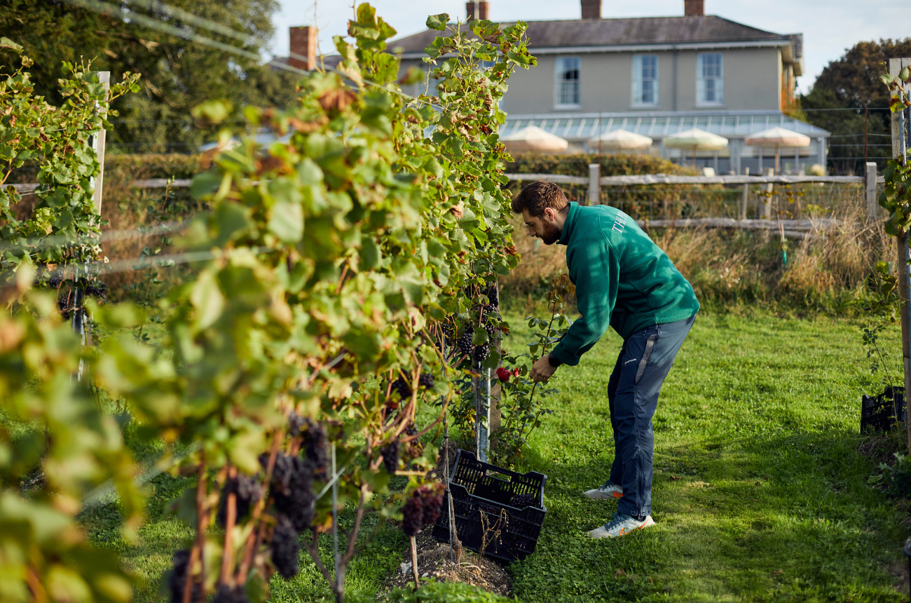 Alpaca Block at The Pig South Downs