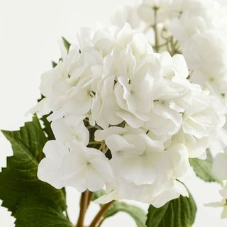 Faux white hydrangea 