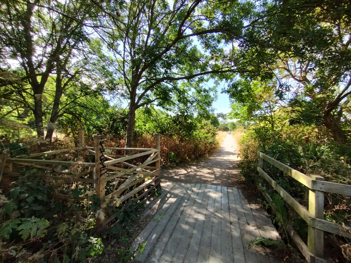 Motorola Moto G82 camera sample: While the ultra-wide has fairly low-end hardware, the phone&rsquo;s HDR optimization lets it create some charming images.