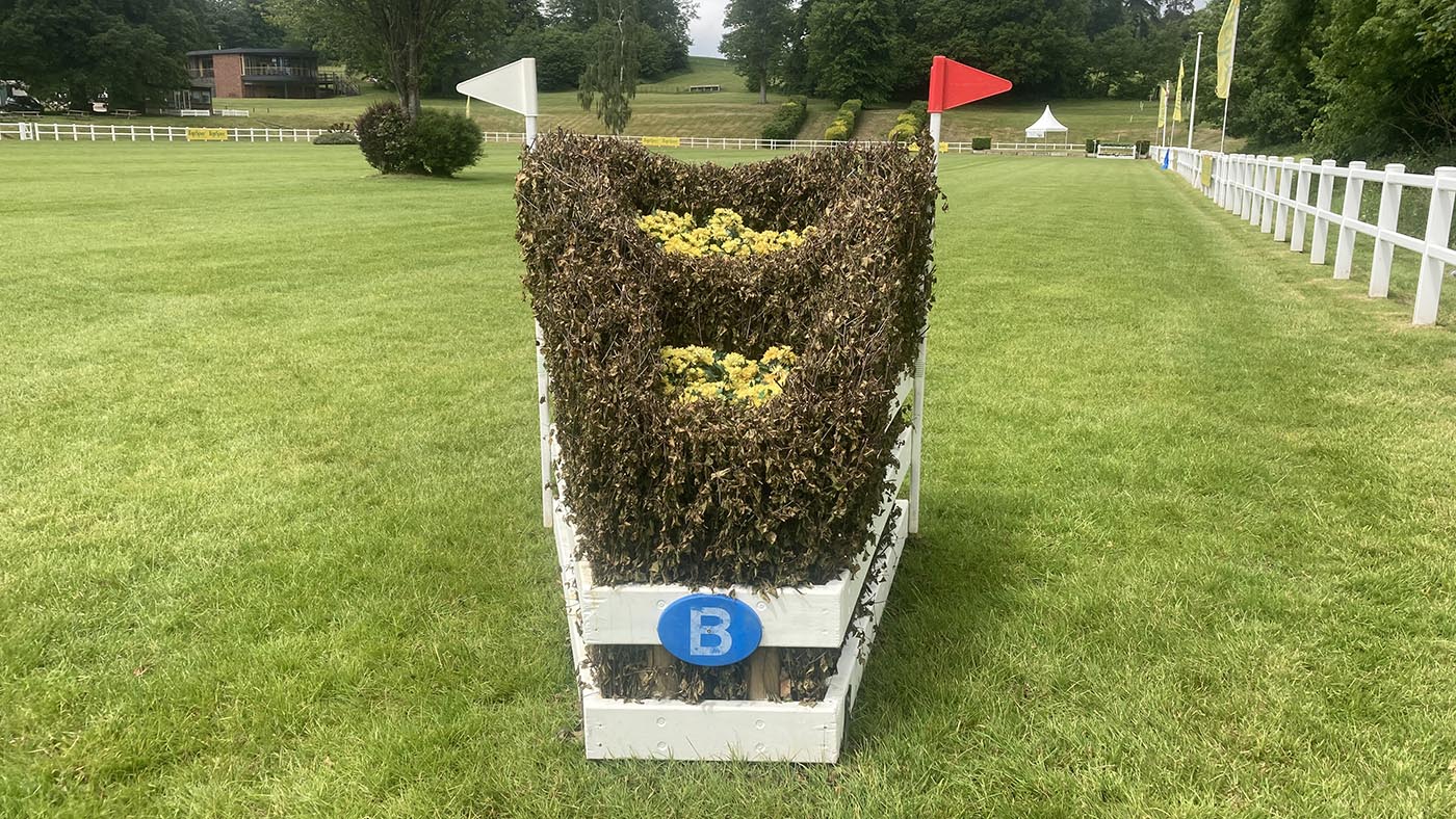 Bicton21-xc-21BL