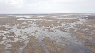 Kotelny Island was connected to the Siberian mainland at the time the mammoth was killed about 26,000 years ago, and was warmer than it is today.