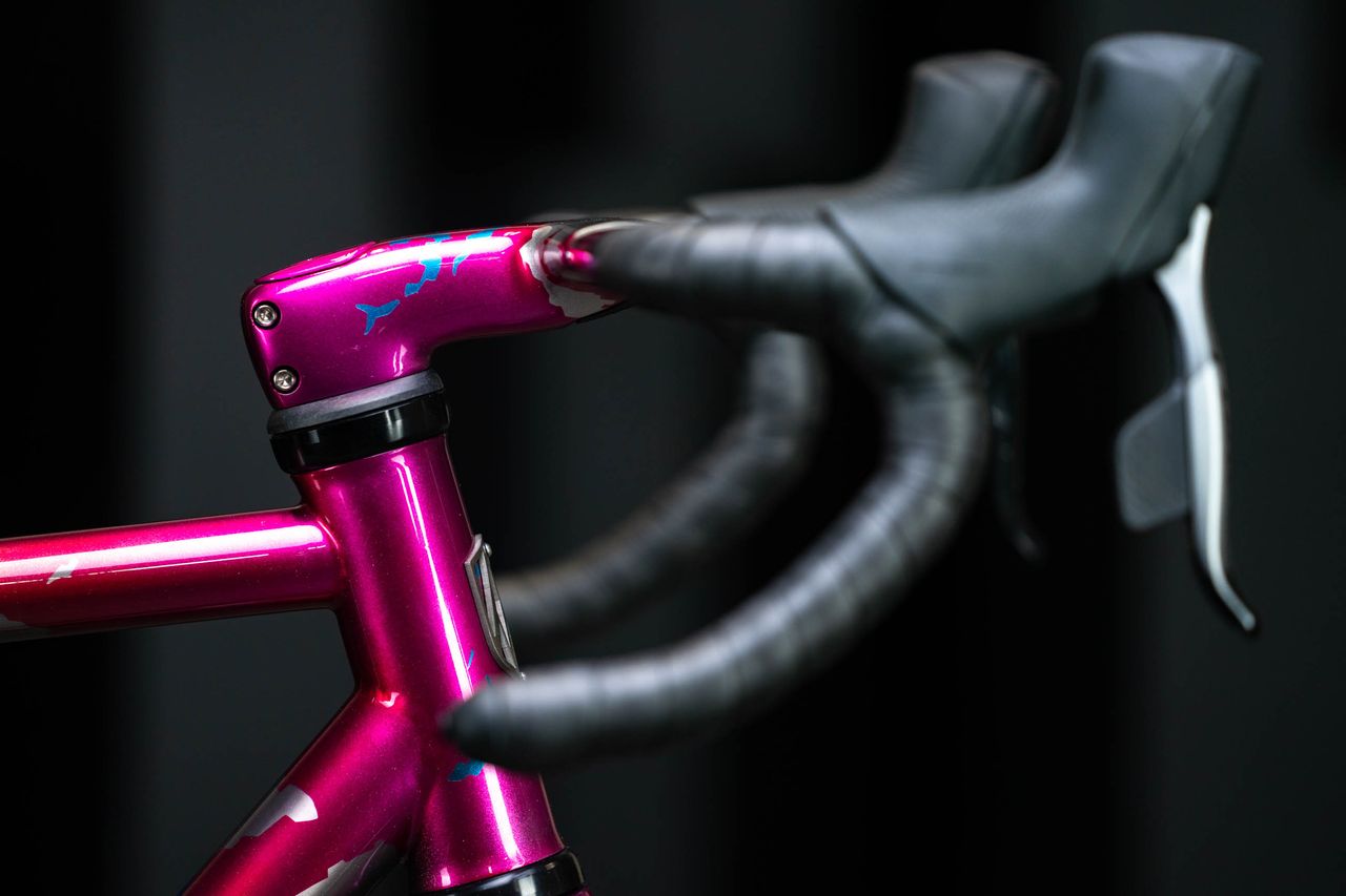Isen full titanium bike