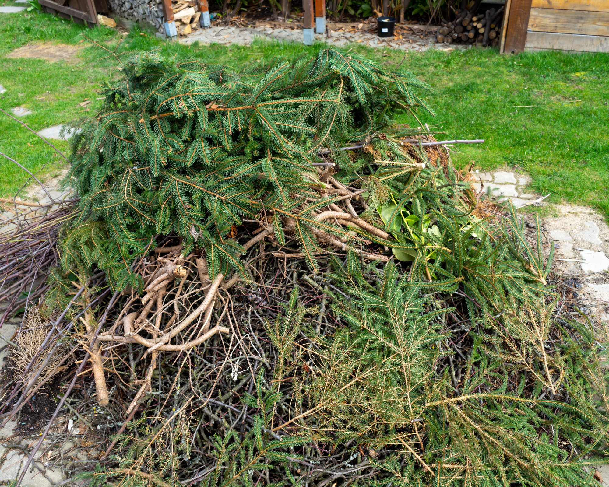 brush pile with pine branches
