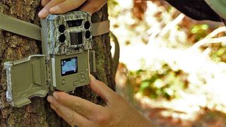 Best trail cameras