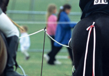 pig_tail_collecting_ring-hr.jpg