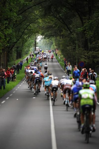 The peloton in full flight at the Eneco Tour.