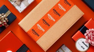Amazon package wrapped in seasonal packaging