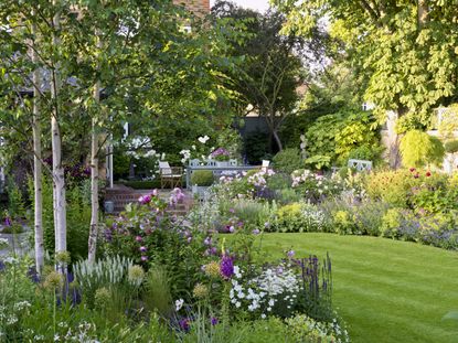 How to move a tree: top tips for replanting trees and shrubs | Gardeningetc