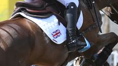 Yasmin-INGHAM_Banzai-du-Loir_3DEWorlds_PN22_47473.jpg