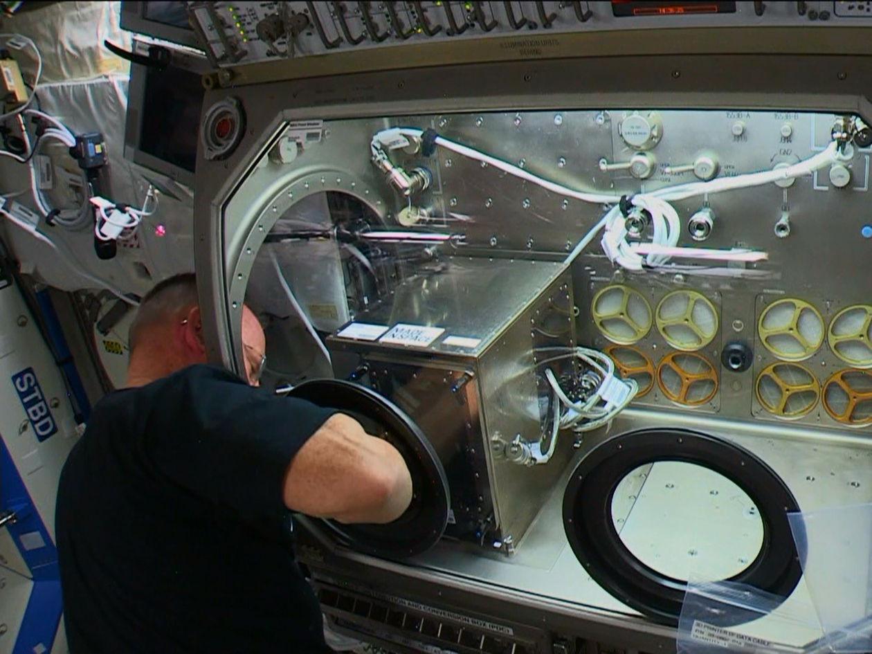 International Space Station commander Barry WIlmore installs the orbiting lab&#039;s first 3D printer on Nov. 17, 2014.