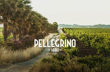Image of palm trees and vines with the word 'Pellegrino' over the top
