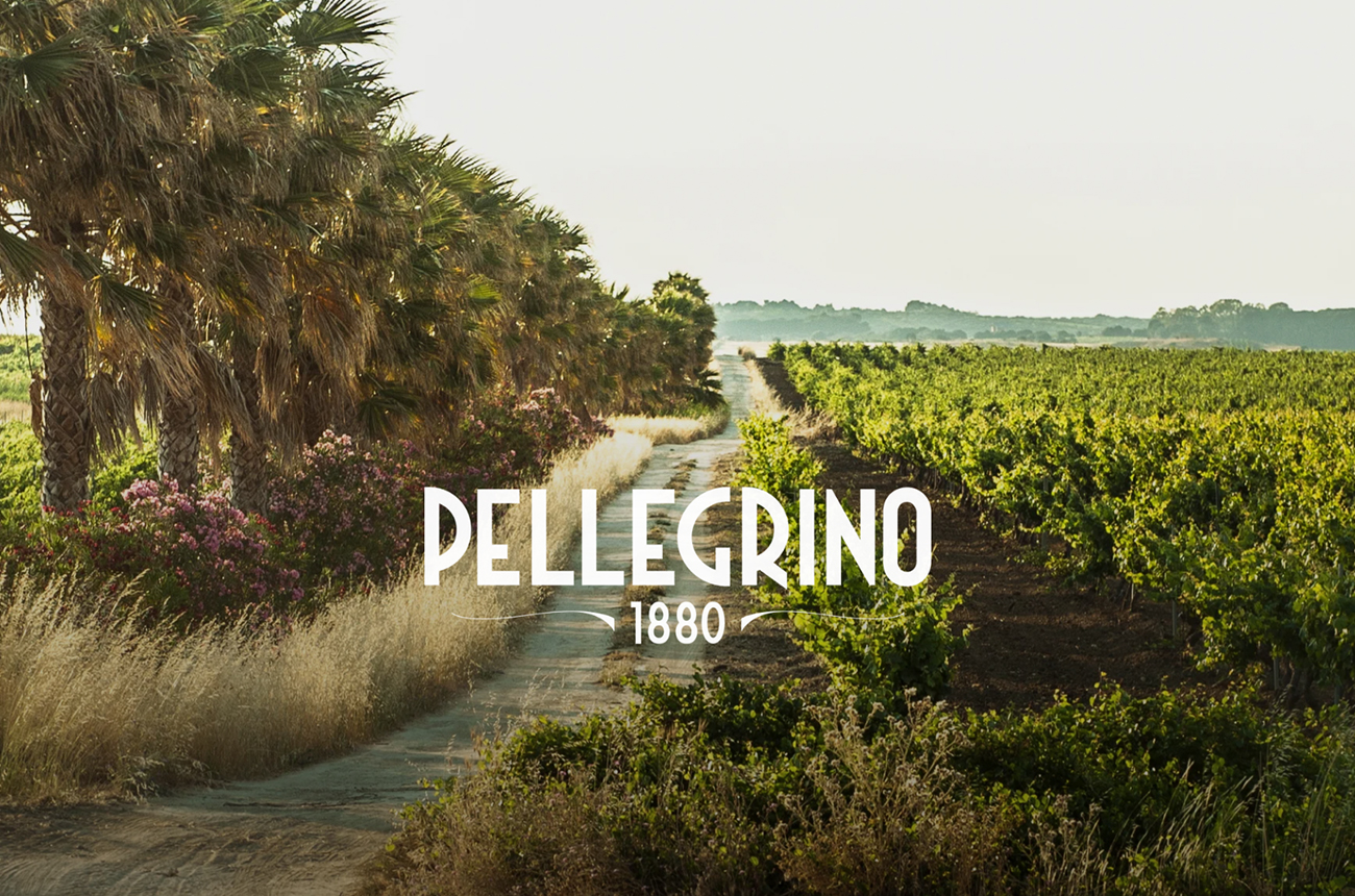 Image of palm trees and vines with the word 'Pellegrino' over the top