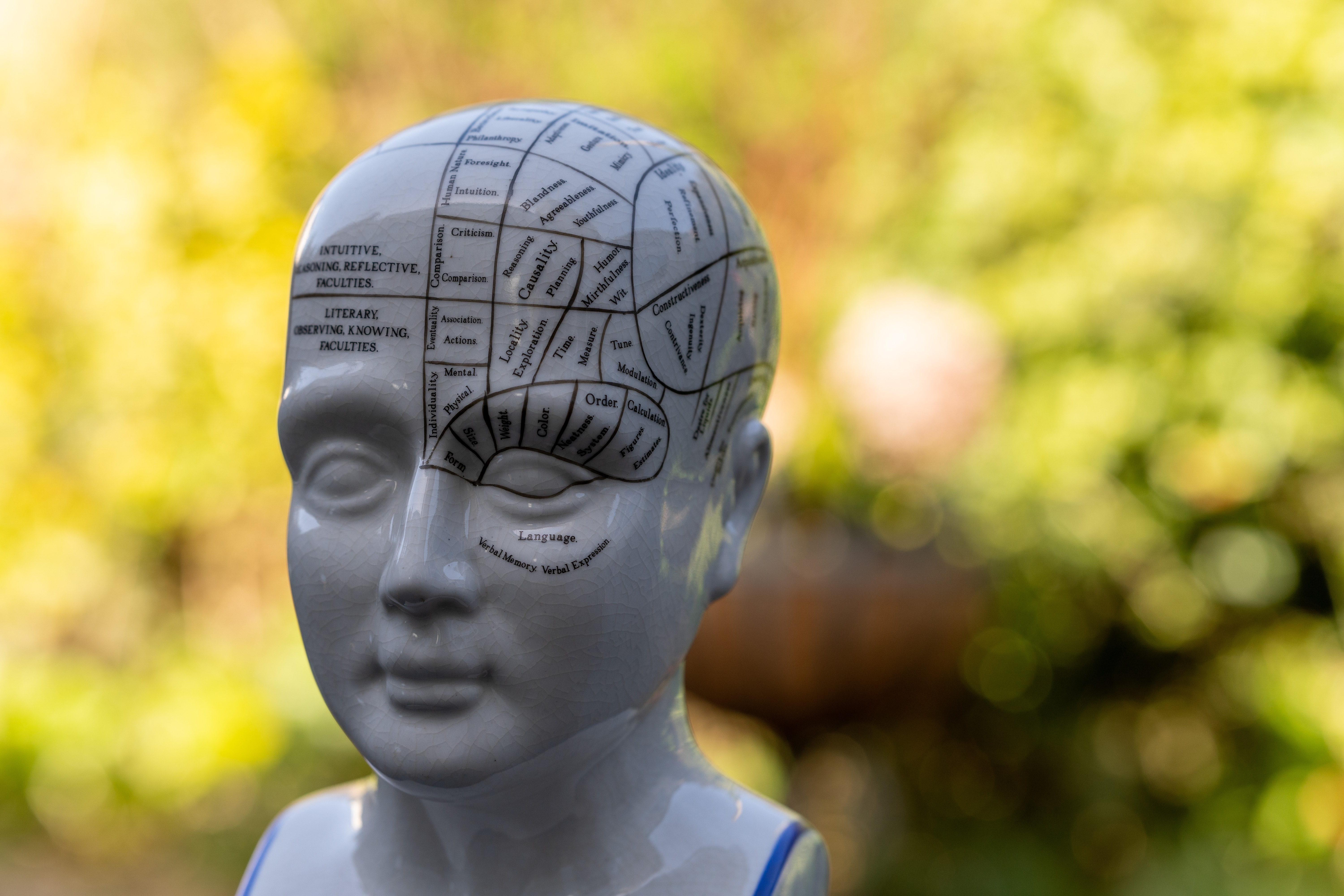 Meike AF 85mm f/1.8 SE II sample image