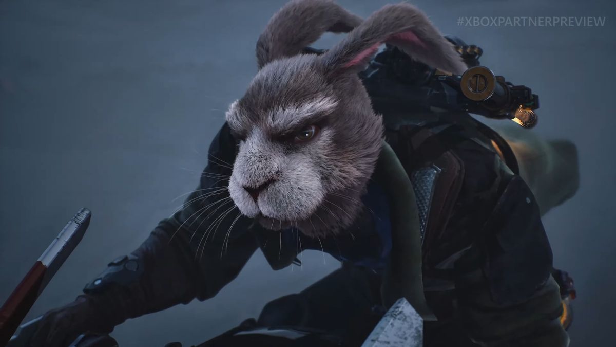 Zoopunk Characters ZOOPUNK showcases grizzled combat and wondrous colors, but something ...