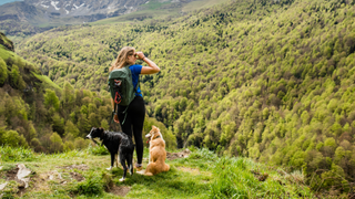 Woman hiking with a dog around trees