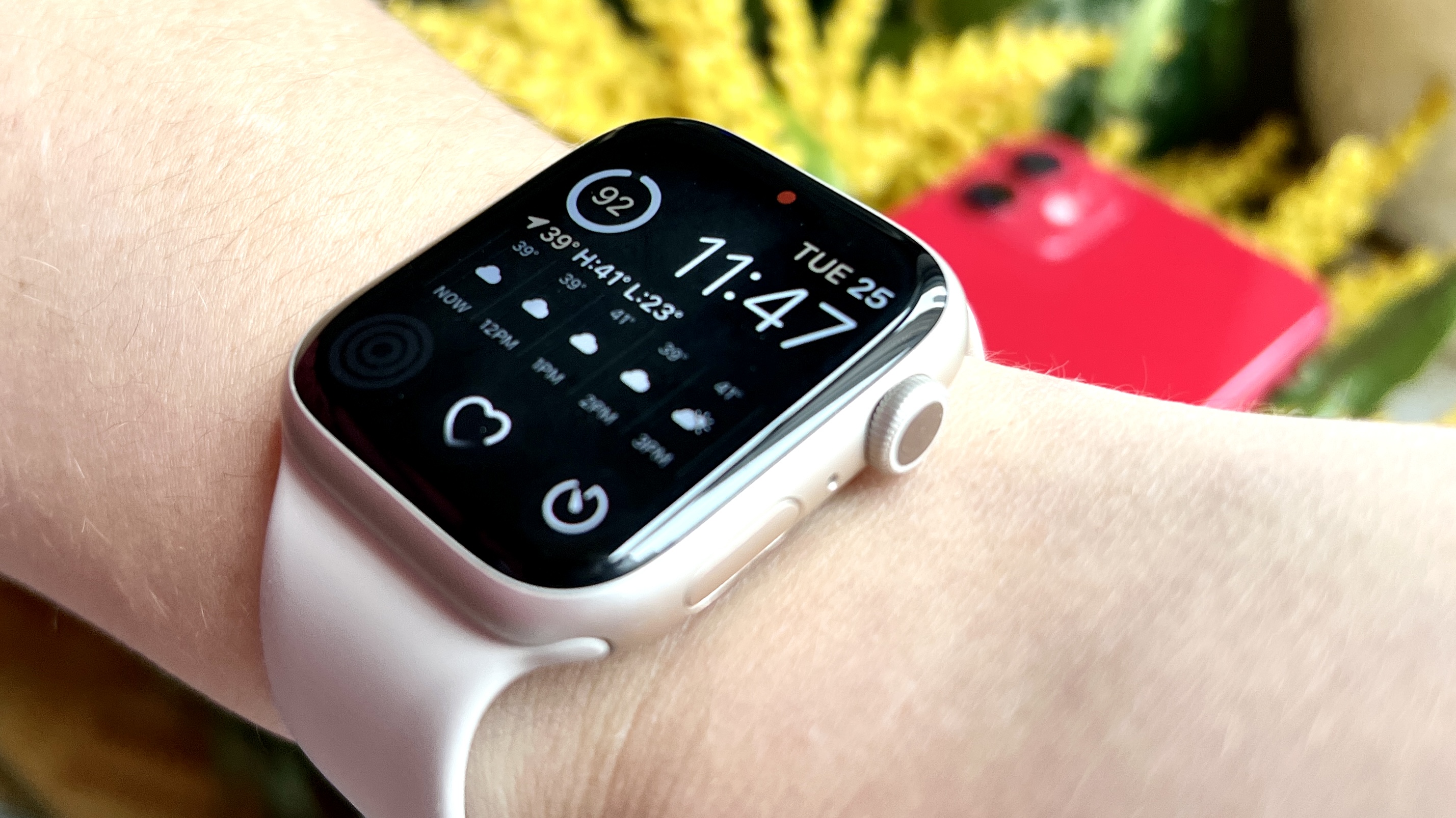 Ping 2025 apple watch