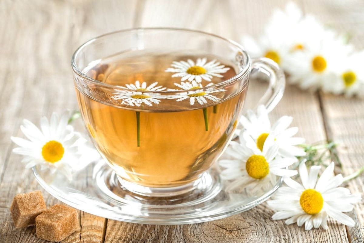 What Is A Chamomile Tea Plant - How To Grow Chamomile Tea In The Garden |  Gardening Know How