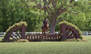 premier equestrian studies