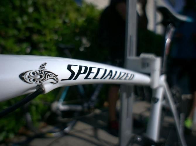 Nibali gets his own shark logo on his top tube