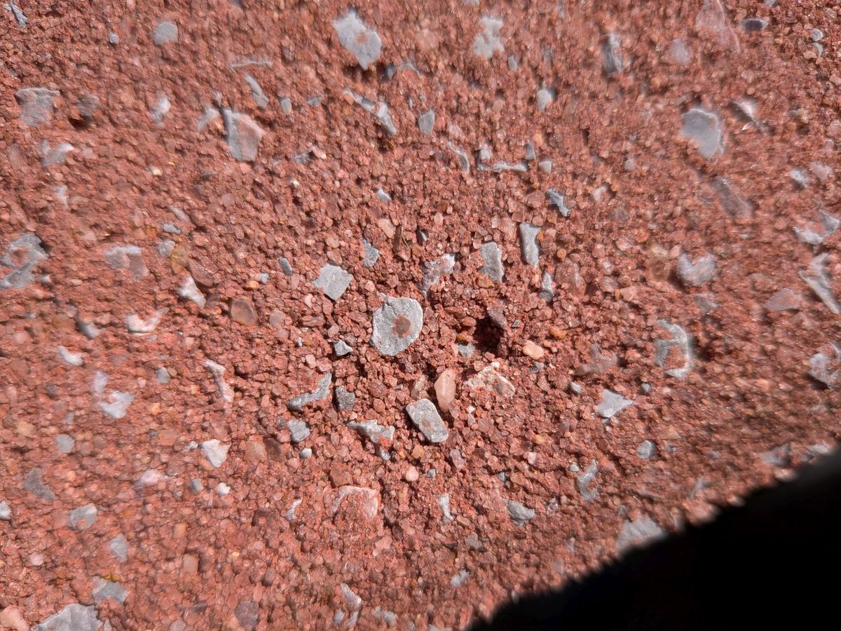 Google Pixel 9a macro sample.