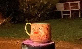 iPhone 12 Pro Max camera sample