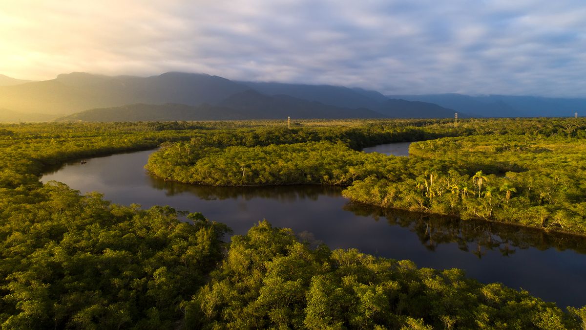 More than 850,000 indigenous people in over 300 tribes live in the Amazon rainforest in Brazil. 