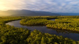 More than 850,000 indigenous people in over 300 tribes live in the Amazon rainforest in Brazil.