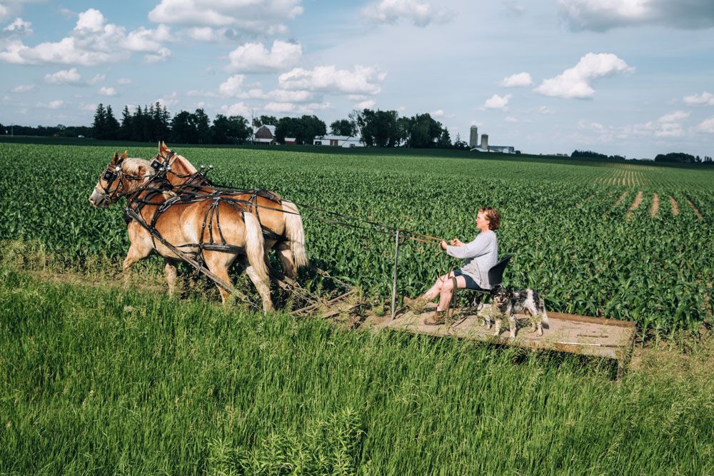 These three were rolling in style in the cornfields outside Cannon Falls