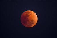 How to photograph a blood moon