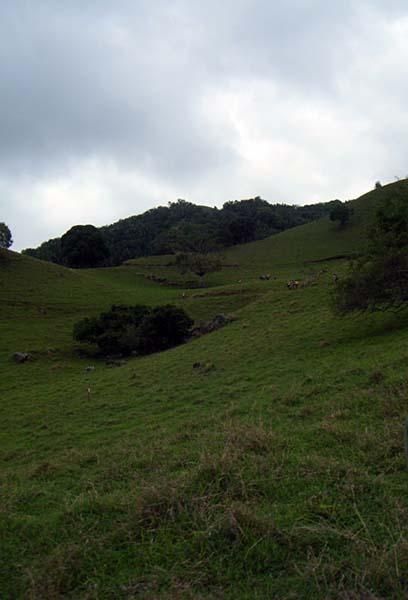 Part of the downhill course