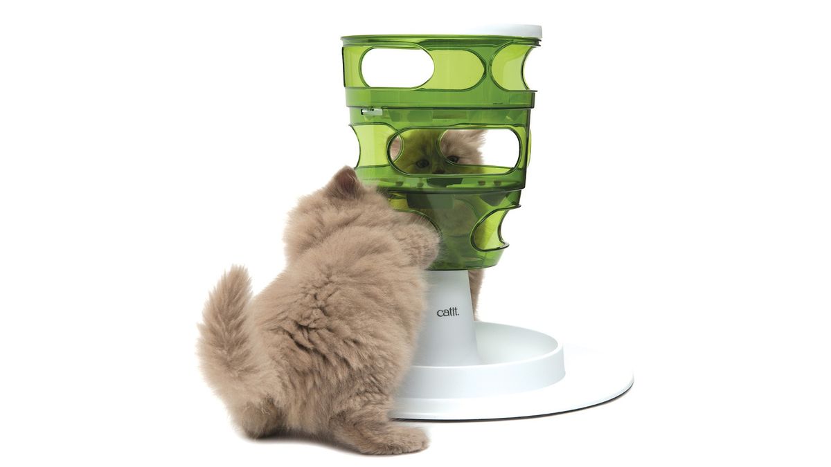 Best cat puzzle feeder 2024 for making mealtimes enriching PetsRadar