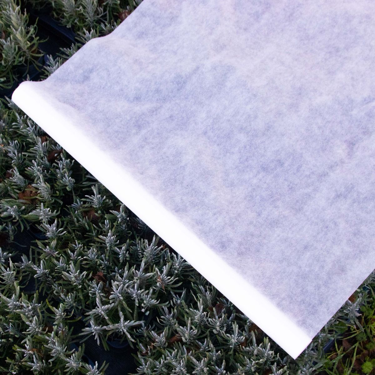 Extra Thick (30gsm) Frost Protection Blanket for Plants (1m X 15m)