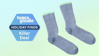 Icebreaker Hike Medium Crew Socks