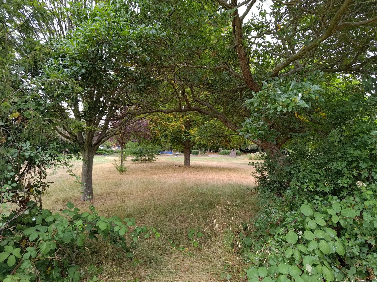 Photo captured on the Asus Zenfone 9
