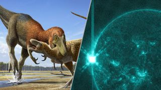 An adult Nanotyrannus lancensis attacking a young Tyrannosaurus rex. - A powerful X5 solar flare event.