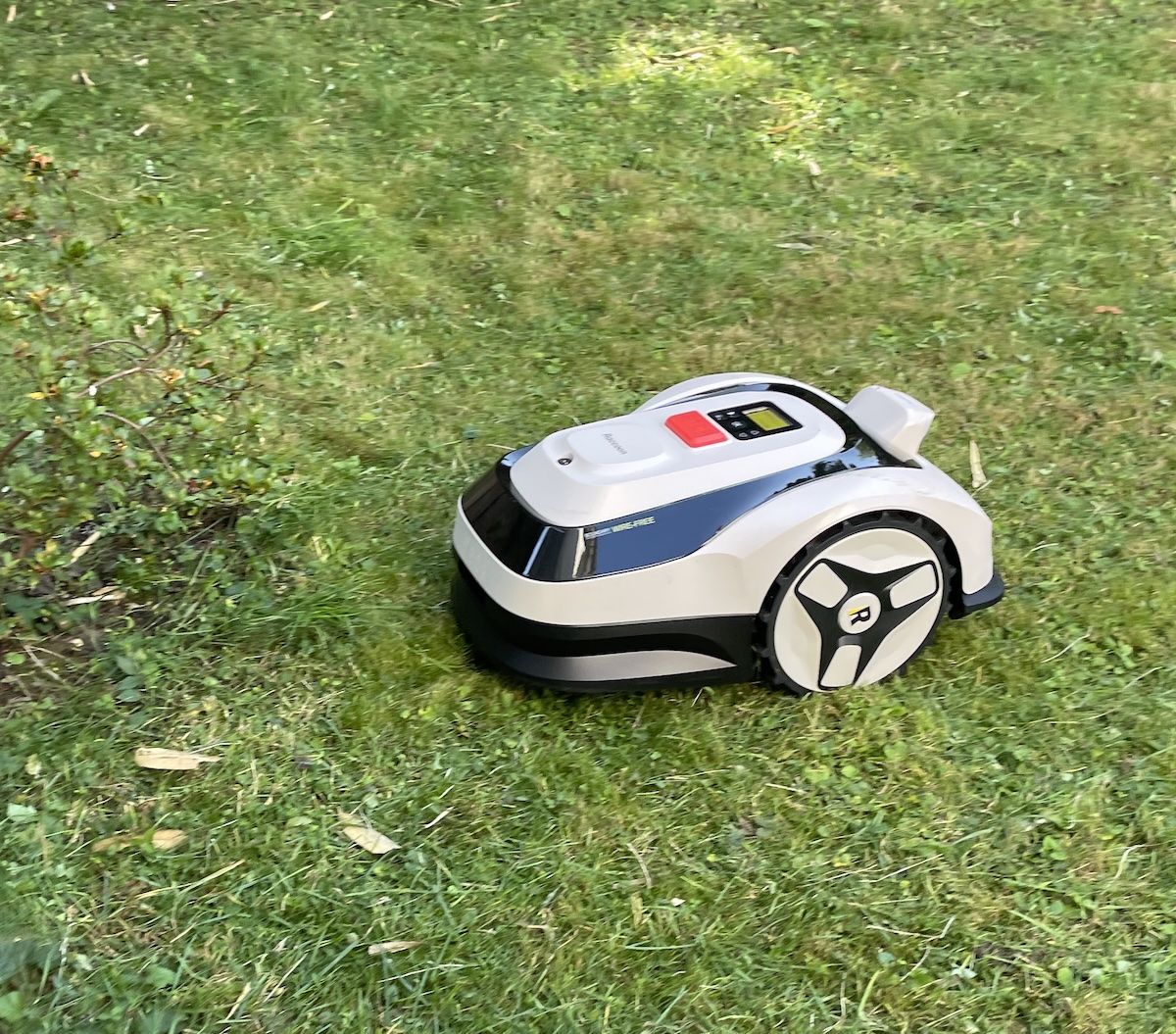 le robot tendeuse raccoon 2 SE sur de la pelouse