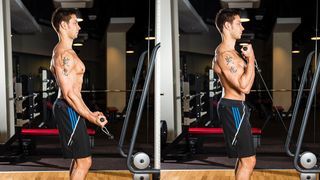 Cable biceps curl