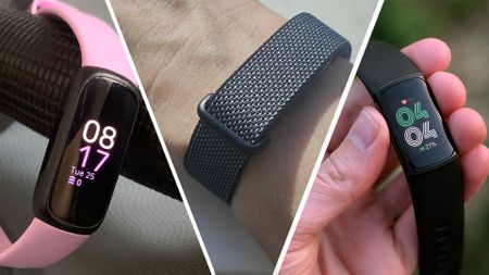 Three Fitbits 