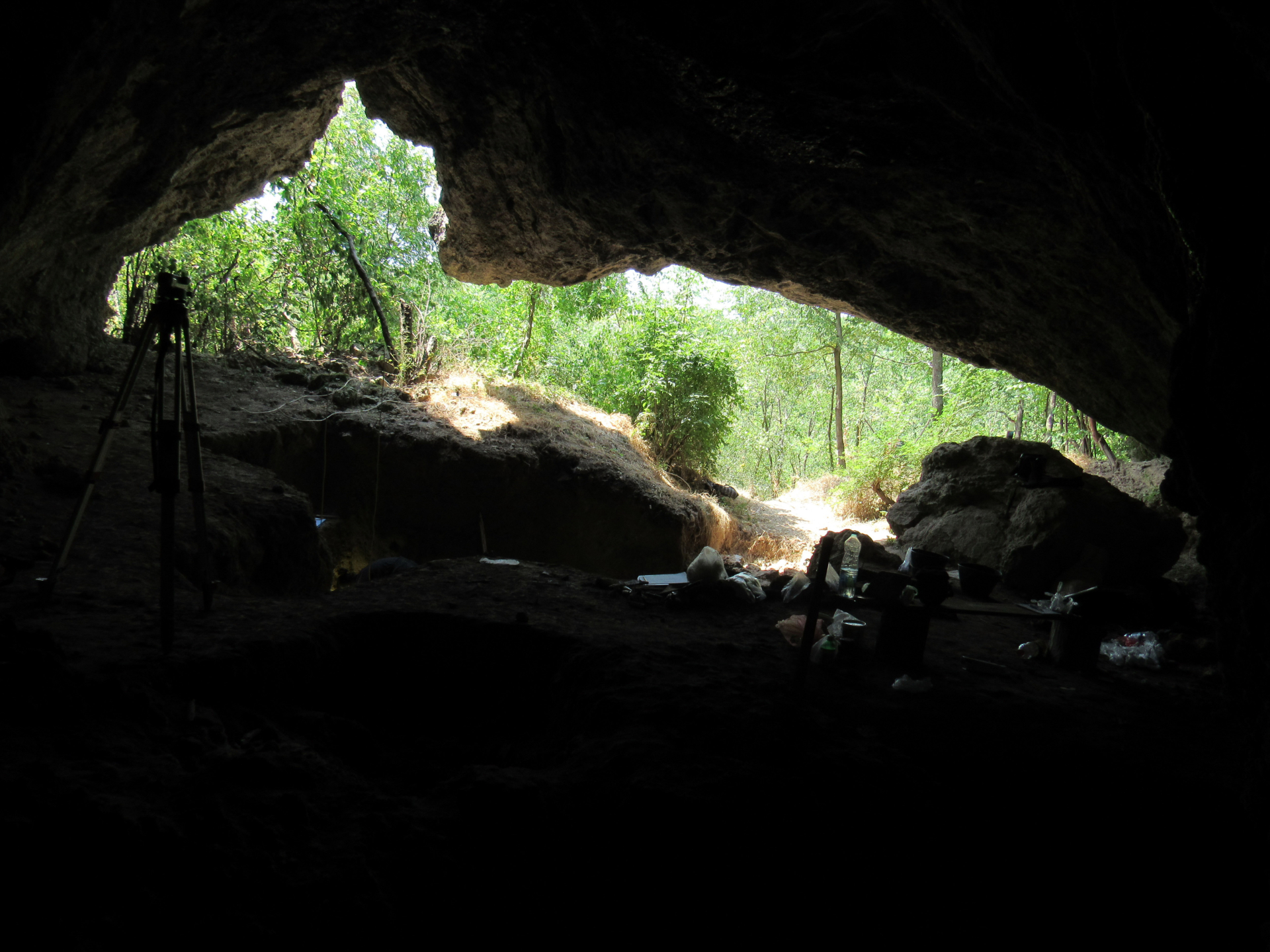 A view looking from inside a dark cave through an opening where a lush green jungle lies beyond.
