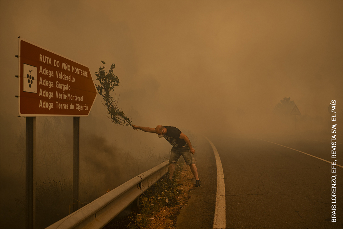 A man fights a wildfire with a branch in Cualedro, Spain. When resources are stretched, residents use whatever is available to extinguish flames, including branches, farming tools, and water hoses