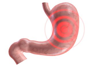 An illustration of a stomach