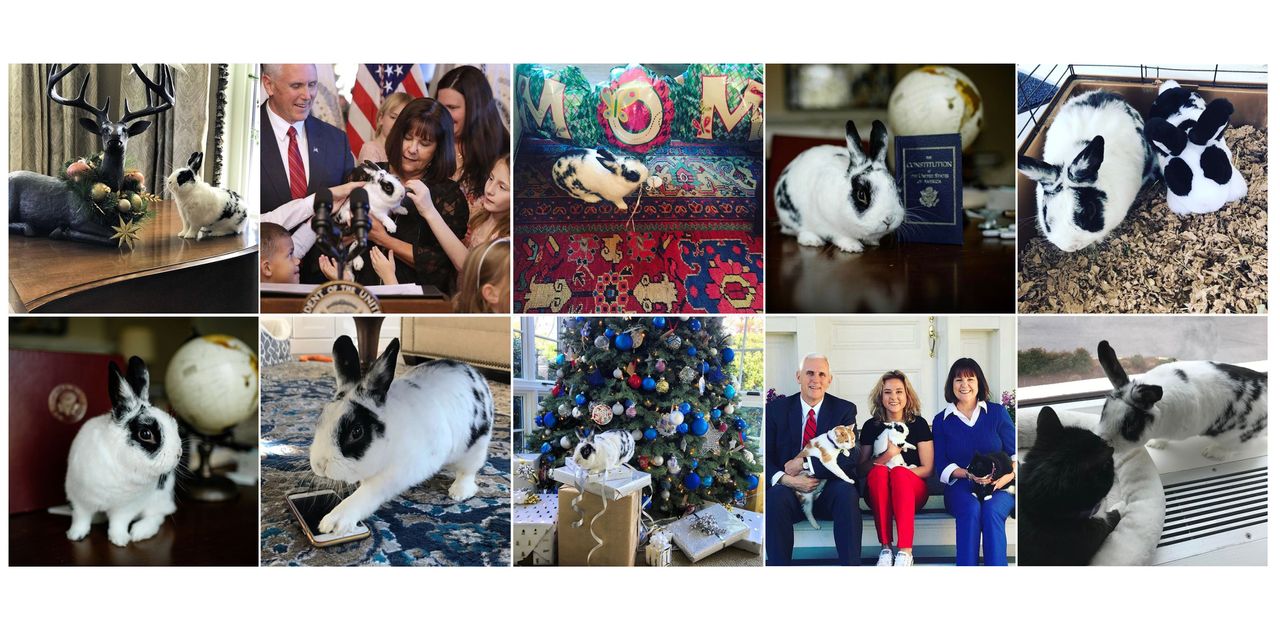 Marlon Bundo and family.