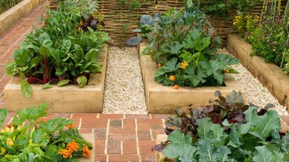 Raised Bed Vegetable Garden with Brick Path