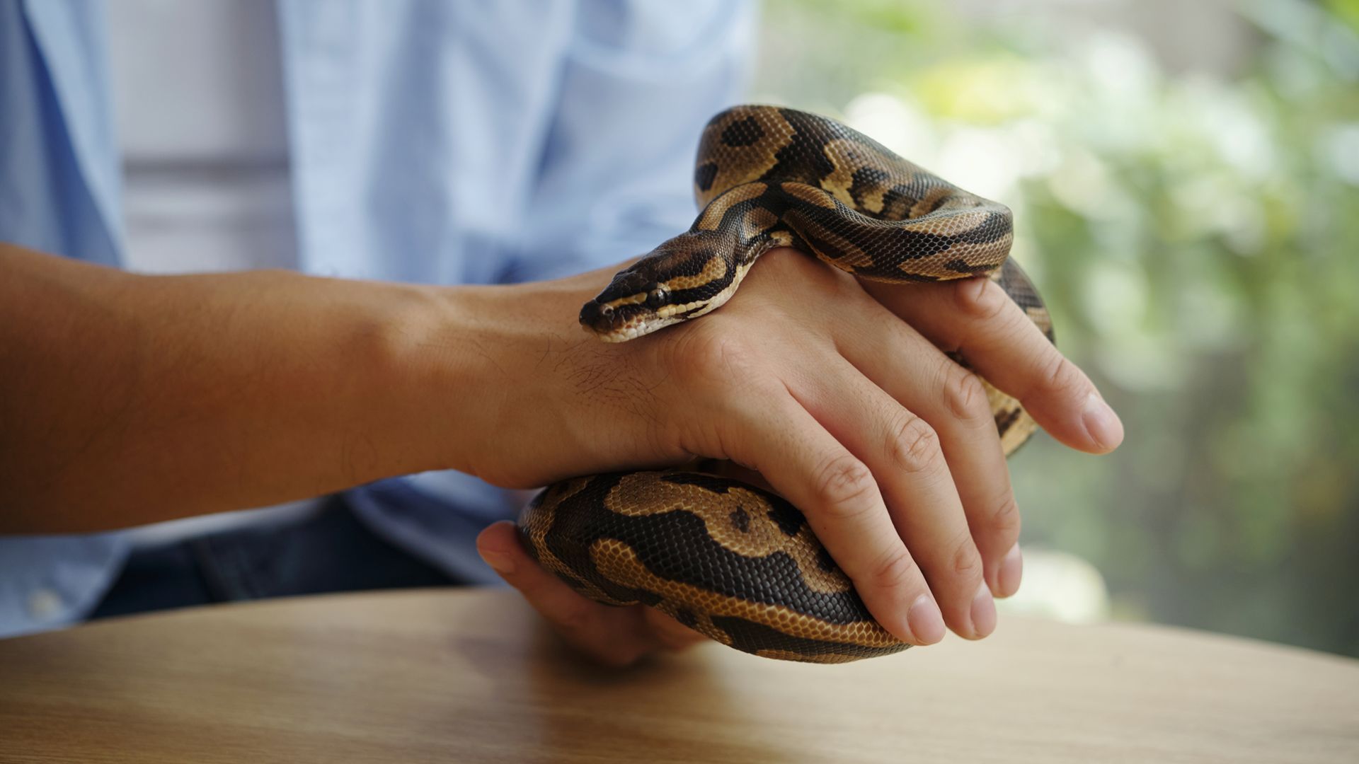 man holding snake