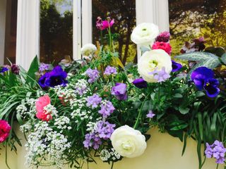 summer window box with pansies and ranunculus