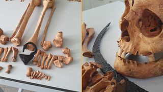 Two photos of a bones. On the left, leg and foot bones with a padlock around them. On the right, a skull with a crescent-shape blade that fits around the neck.