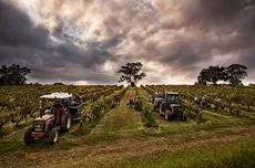 Tyrrell's Vat-47 Chardonnay