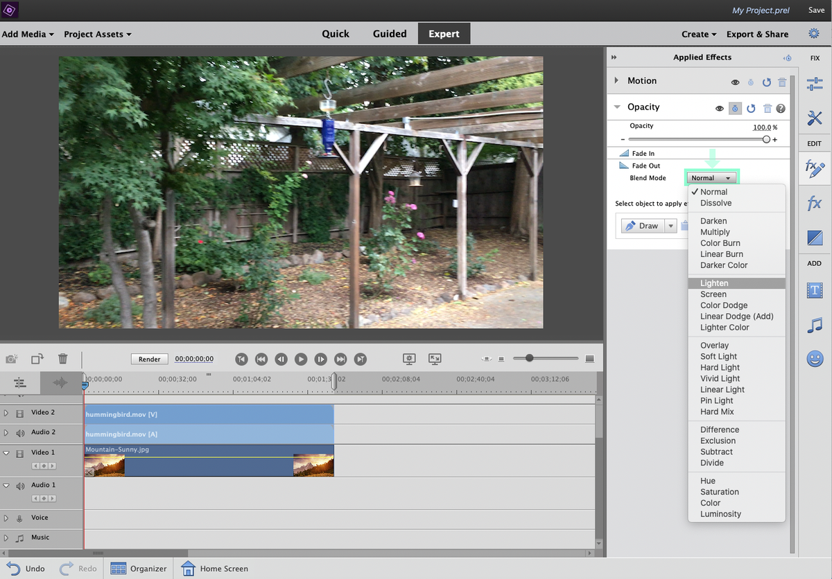 Adobe Premiere Elements 2021 Review