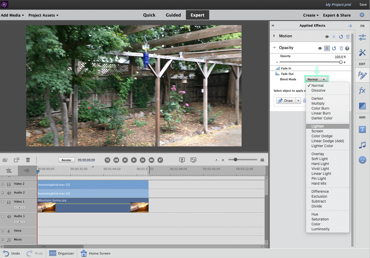 Adobe Premiere Elements 2021 Review